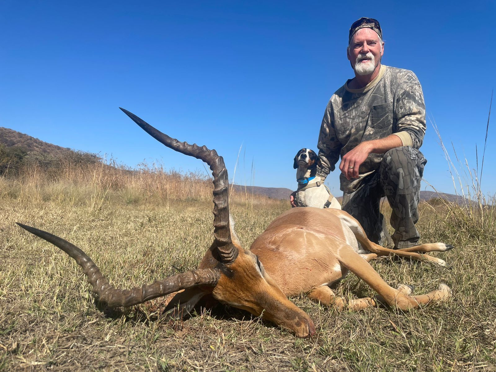 Safari hunter with a tracking dog in the African bushveld