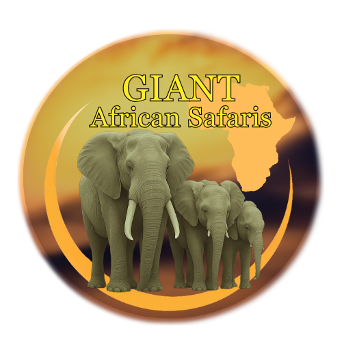 Giant African Safaris